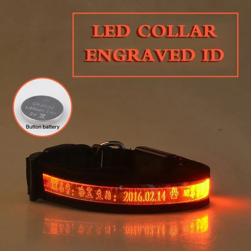 Pet glow collar with radium carved lettering in multiple colours and sizes for dogs