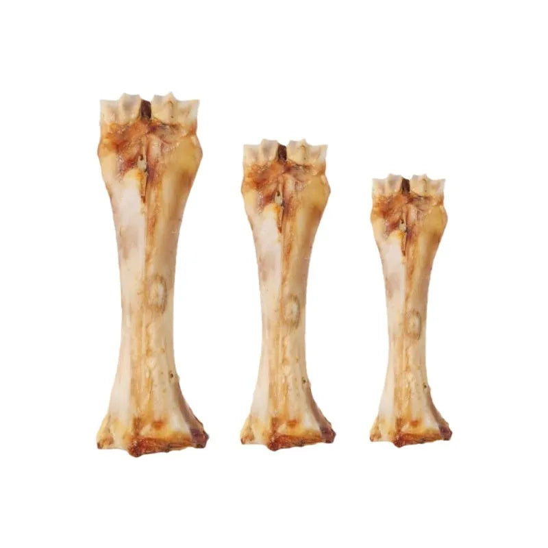 High calcium puppy dental cleaning chew stick with roasted ox bone flavour