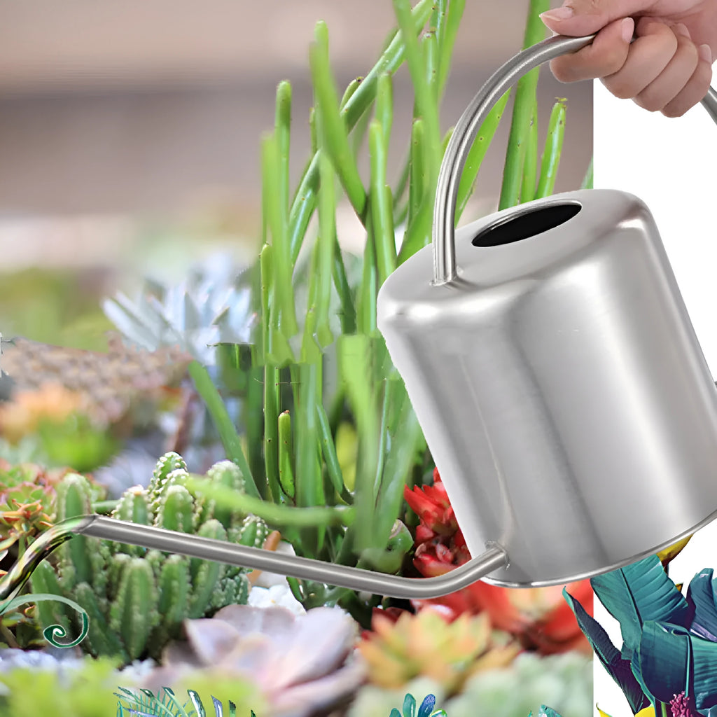 Stainless steel watering can with long spout showing black, gold and silver colour options
