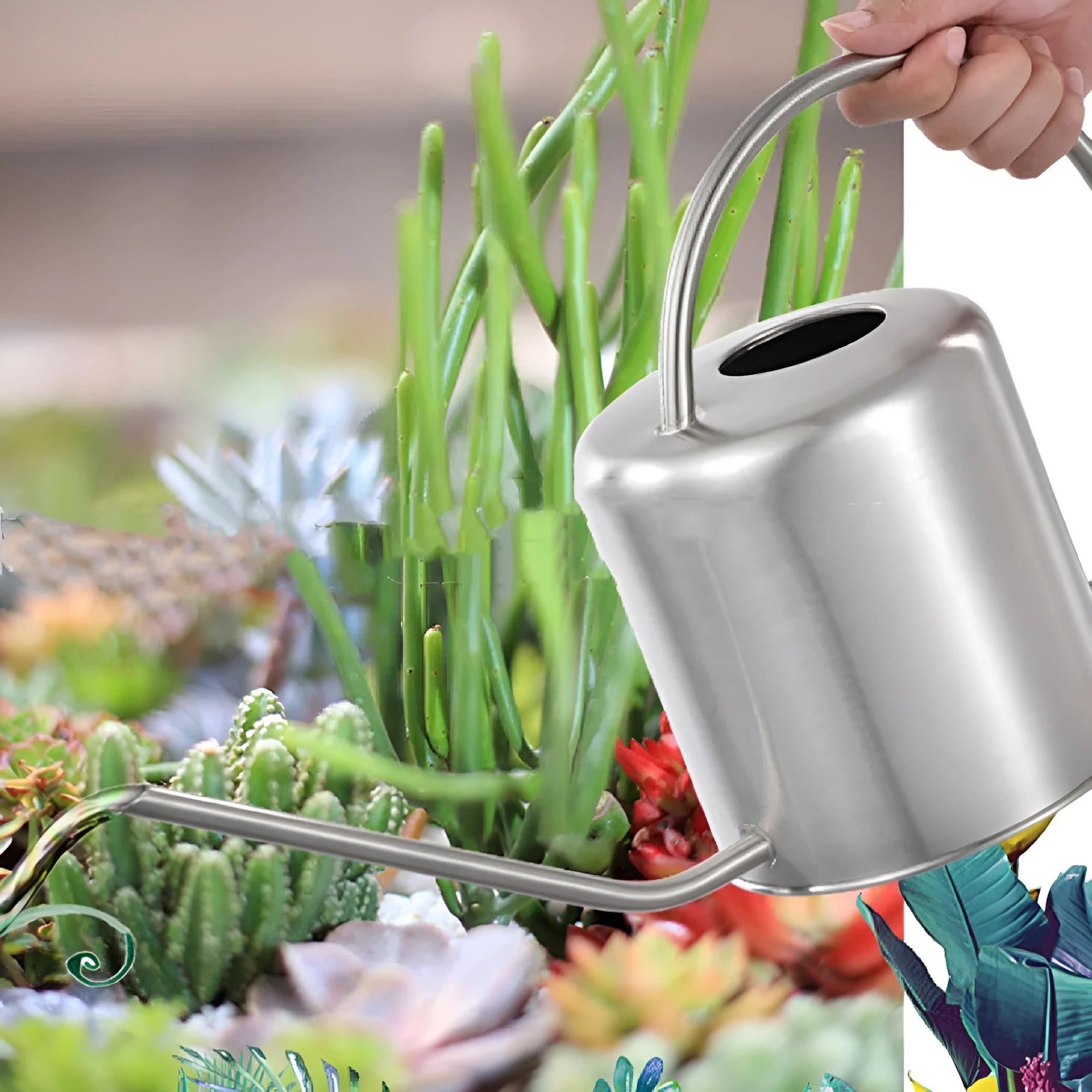 Stainless steel watering can with long spout showing black, gold and silver colour options