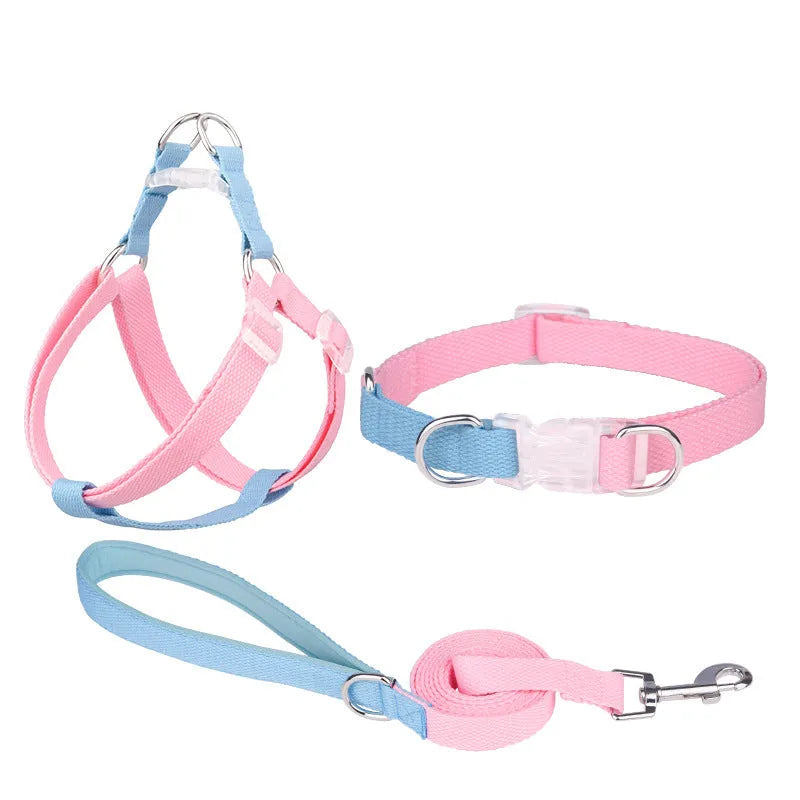 Polyester ribbon dog collar set with matching lead and chest strap in assorted colour combinations
