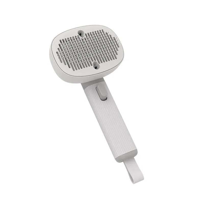 Pet comb for cats and dogs with negative ion, floating hair, electric massage, USB charging, ABS plastic