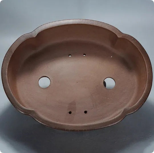 Classical purple clay flower pot for gardening with green plant old pile finish
