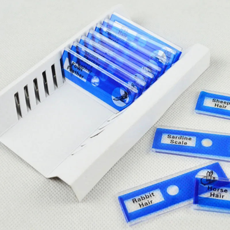 Plastic microscope slides for children with colour-coded biological specimens including plant rhizomes