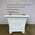 27cm square ceramic flower pot with white ice crack glaze finish for indoor orchids