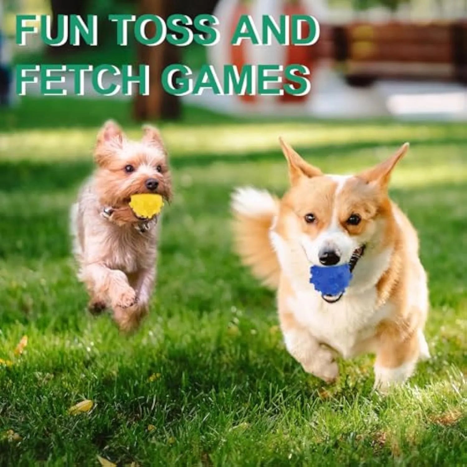 Bright coloured spiky dog toy balls measuring 2 inches in diameter for small dogs