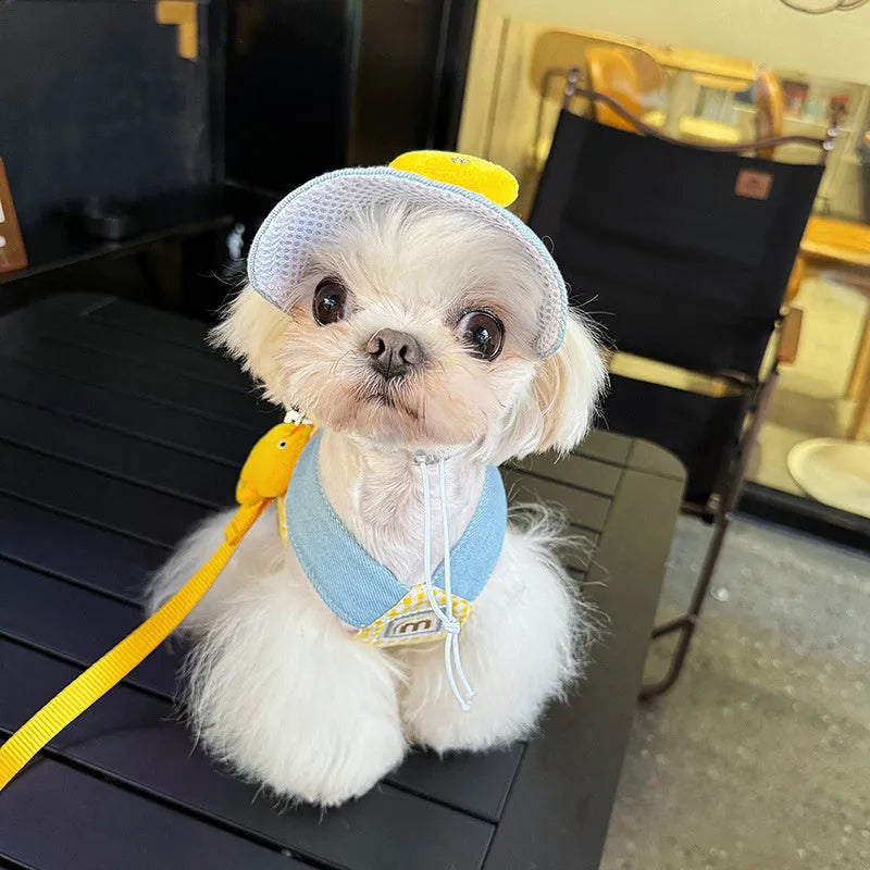 Three-piece pet set showing a dog harness, a leash with a wire rope section, and cute cat clothes on a hanger.