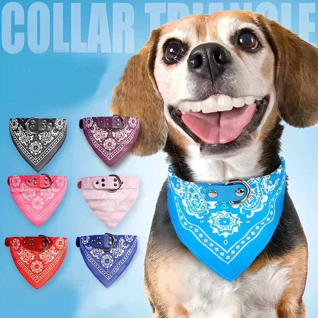 Pet triangle scarf in blue on a small dog, PU and canvas construction with adjustable neck fastening