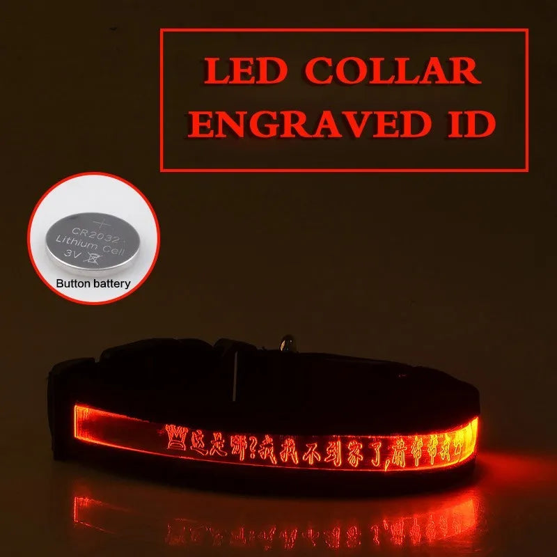 Pet glow collar with radium carved lettering in multiple colours and sizes for dogs