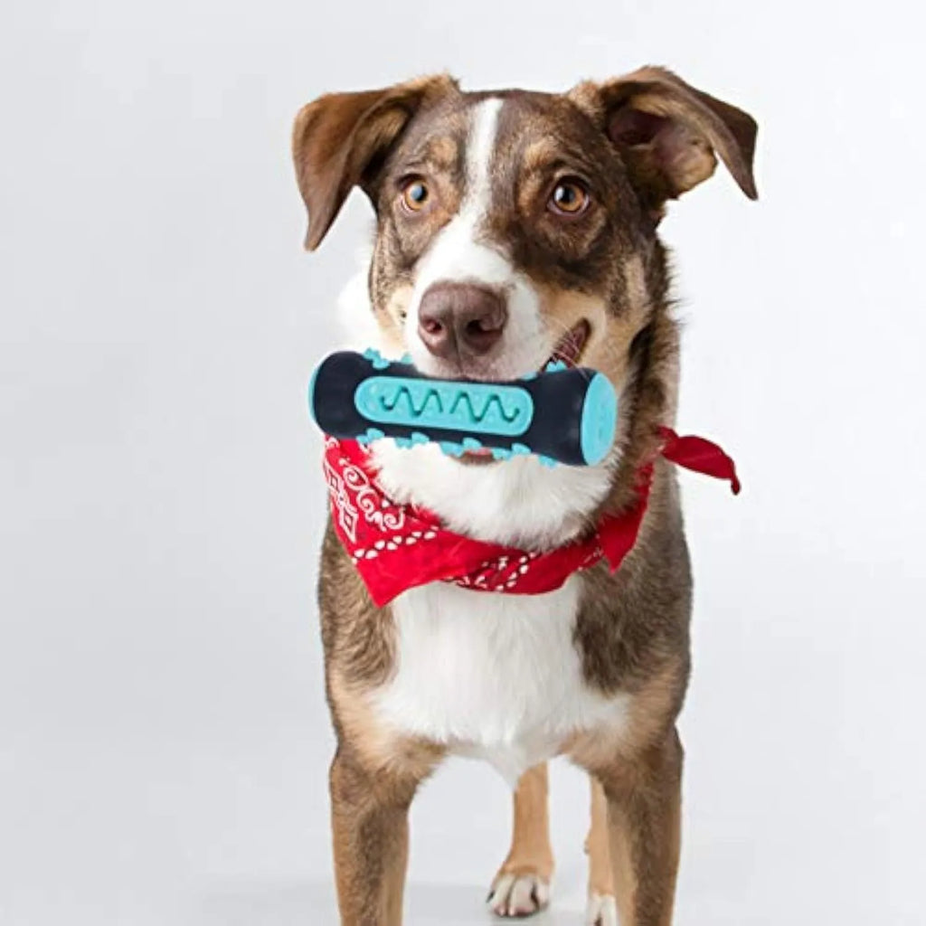 A 15cm long natural rubber dog toothbrush chew toy in assorted colours.