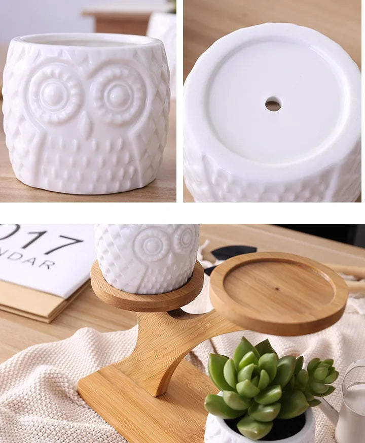 Set of three white ceramic owl planters on a bamboo tree stand against a neutral background