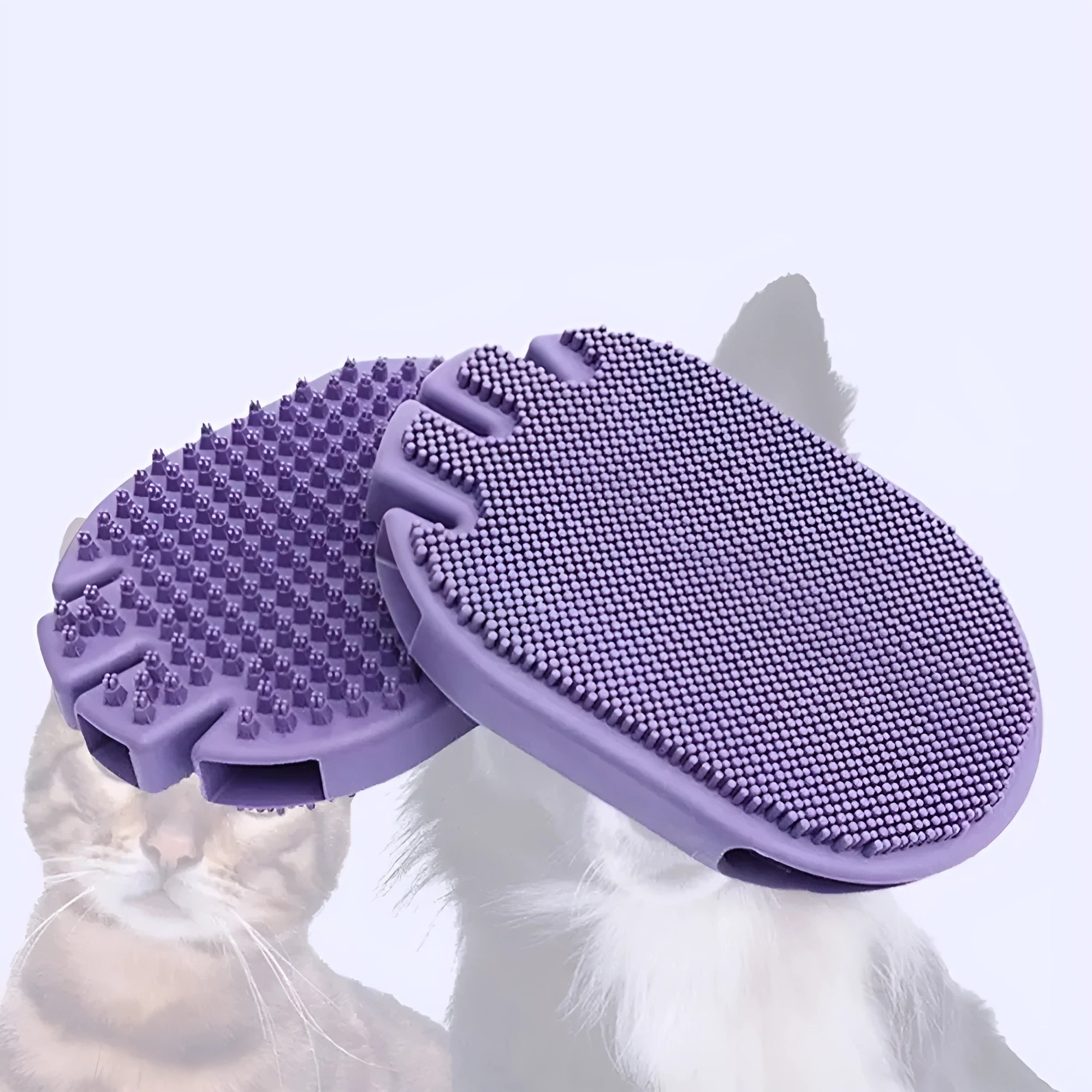 Purple soft TPR dual-sided pet massage brush for dog grooming and shampooing with ergonomic handle