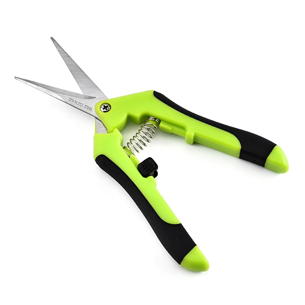 Pair of green stainless steel pruning gardening scissors 16.5 cm long on white background
