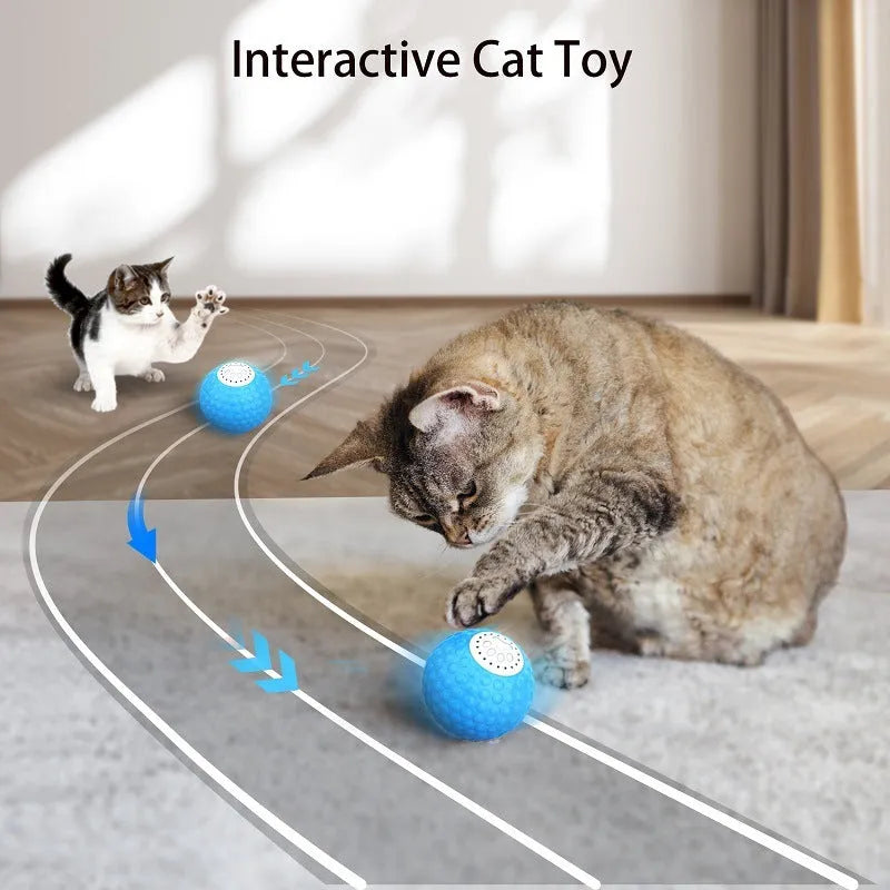 Blue smart interactive cat toy ball with remote control on a wooden floor