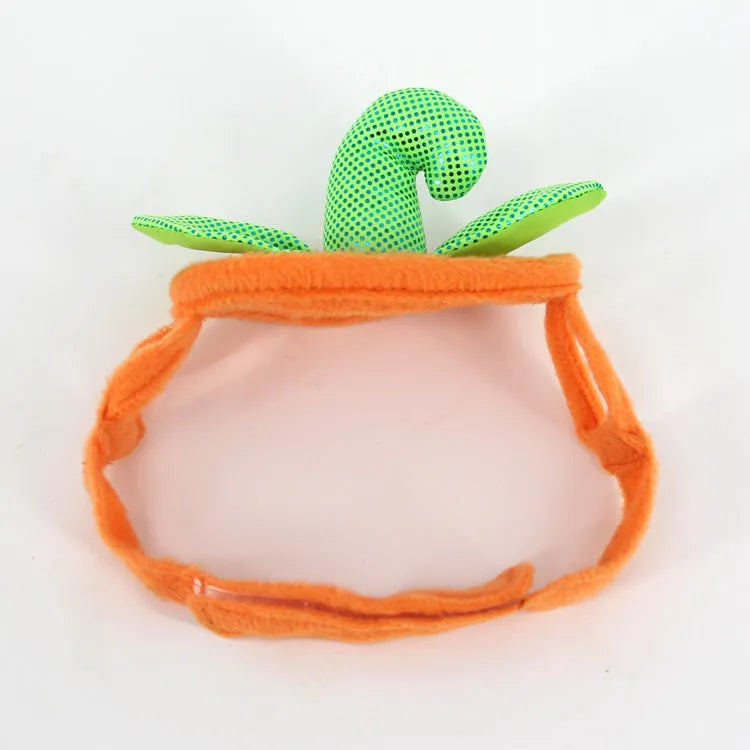 Halloween pumpkin pet costume for cats and small dogs with green leaf decoration and adjustable hat