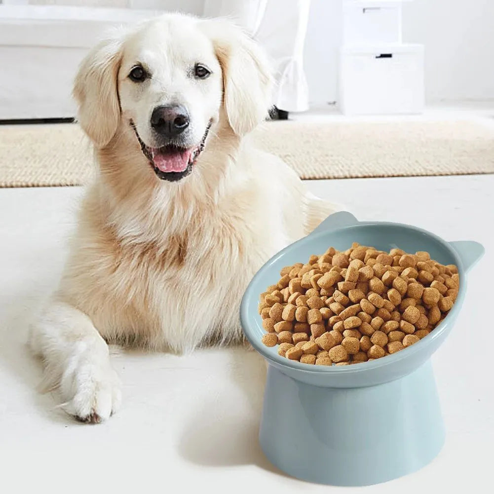 Ergonomic tilted raised plastic cat food bowl in blue with non-slip base for anti vomiting feeding
