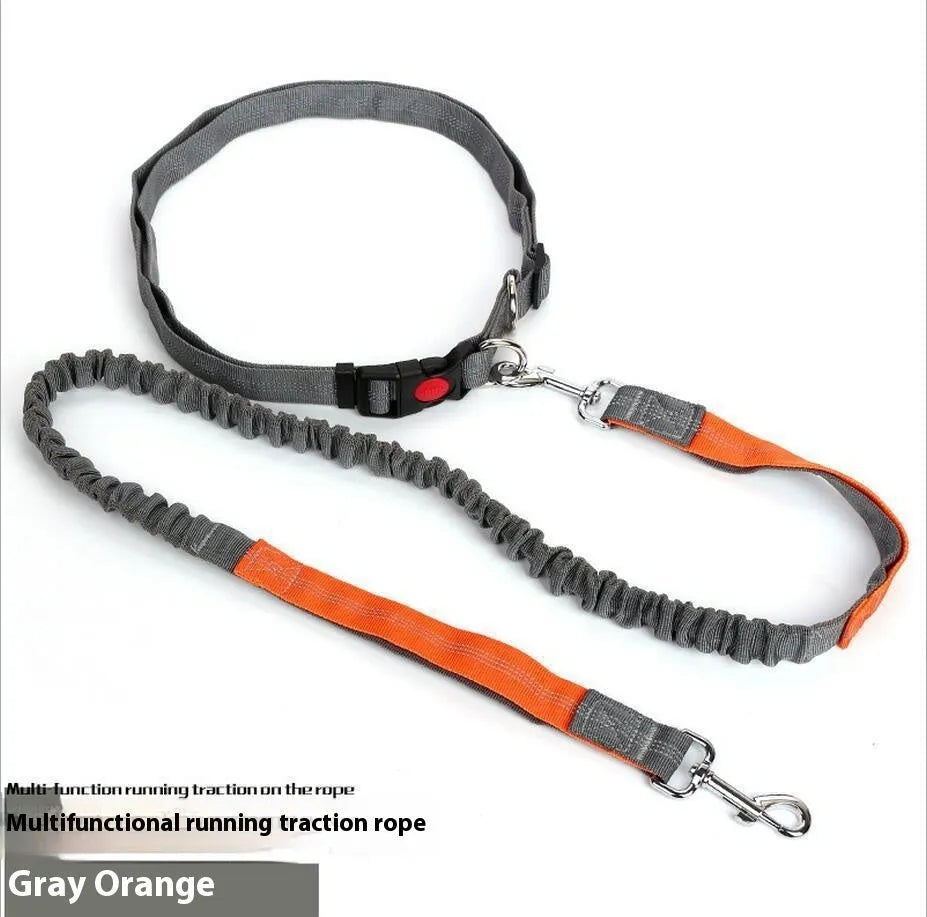 Two-tone reflective dog leash with elastic sling section for outdoor running