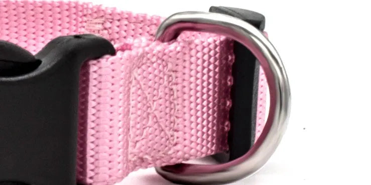 Soft nylon pet collar with neoprene lining, adjustable buckle, and metal D ring on a solid background