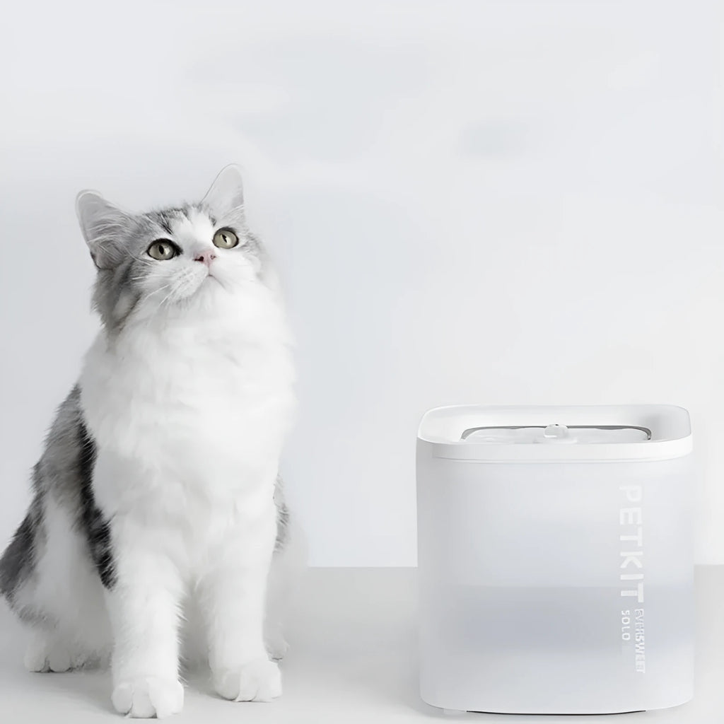 Xiaopei Solo2 wireless smart pet water dispenser with filter for dogs and cats