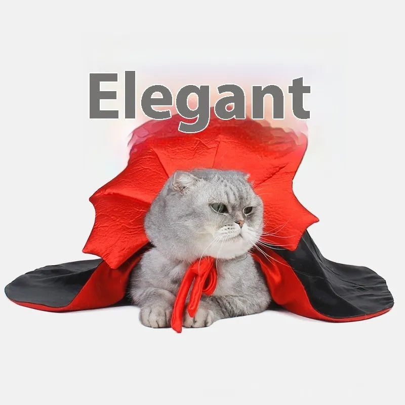Black and red Halloween costume for a cat or small dog on a mannequin