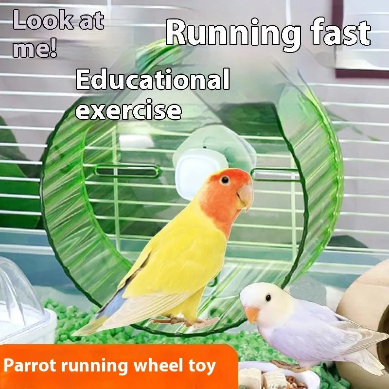 21cm diameter parrot exercise running wheel in transparent plastic for bird cage enrichment