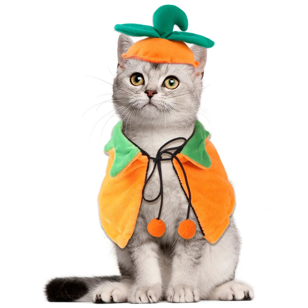 Orange reversible plush Halloween cloak for a dog or cat with pumpkin design.