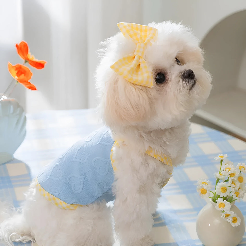 Small dog wearing heart relief texture bow suspenders vest in Bondi Blue colour with matching hairband