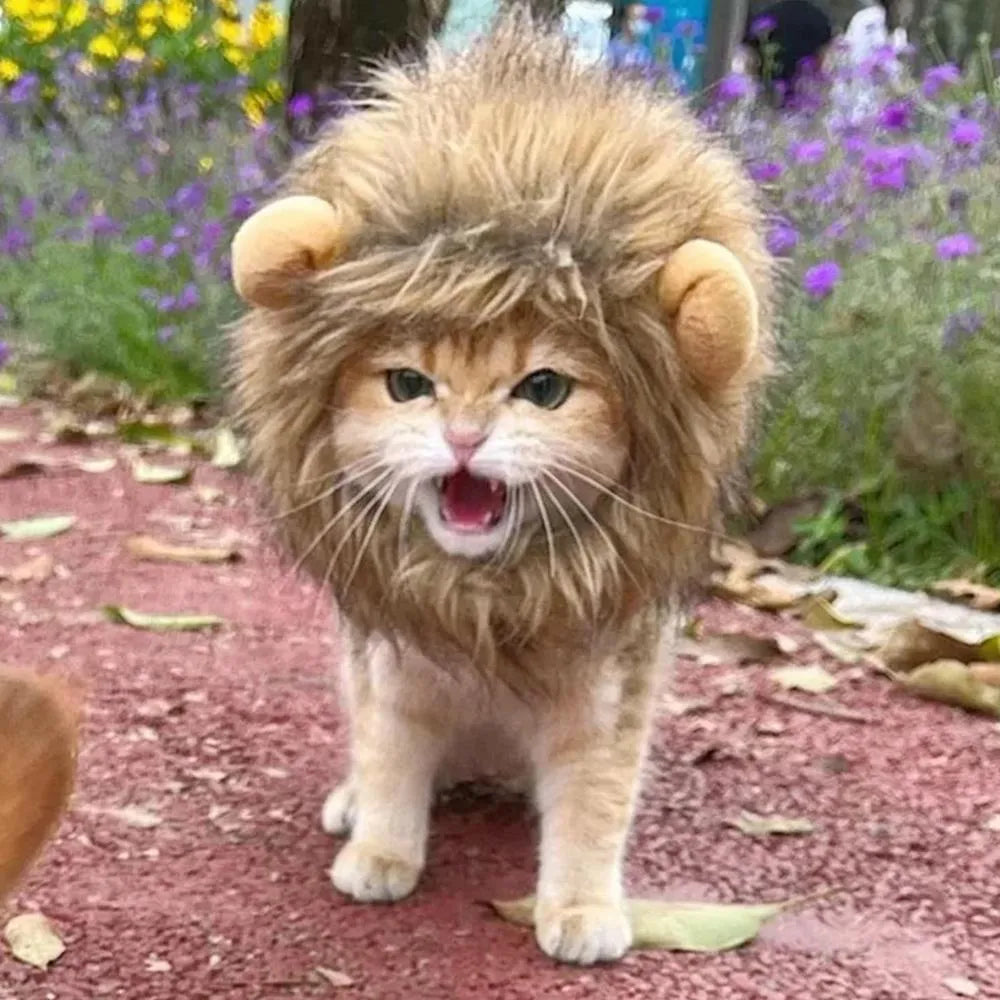 Lion mane wig accessory for a cat showing plush ears and adjustable elastic band.