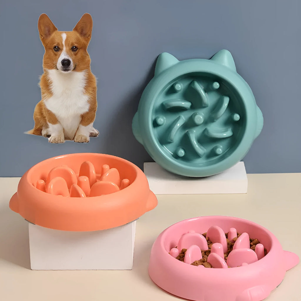 Green pet slow feeder bowl with raised bone-shaped obstacles inside to slow down eating.