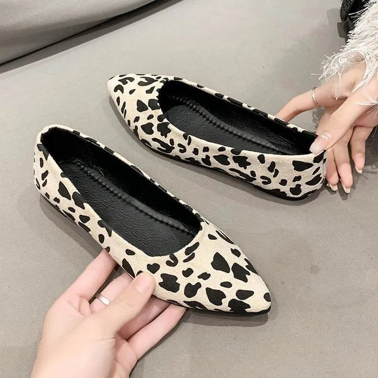 Women's leopard print flat pumps with pointed toe and low heel in three colour options
