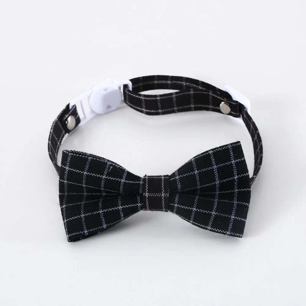 Doctor's Degree hair band and bow tie set for pets in wool felt with elastic hair band