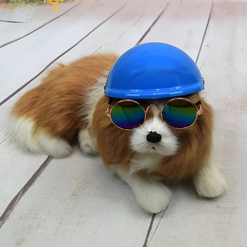 Plastic dog motorcycle-style helmet cap shown in multiple colours and sizes for small, medium, and large dogs.