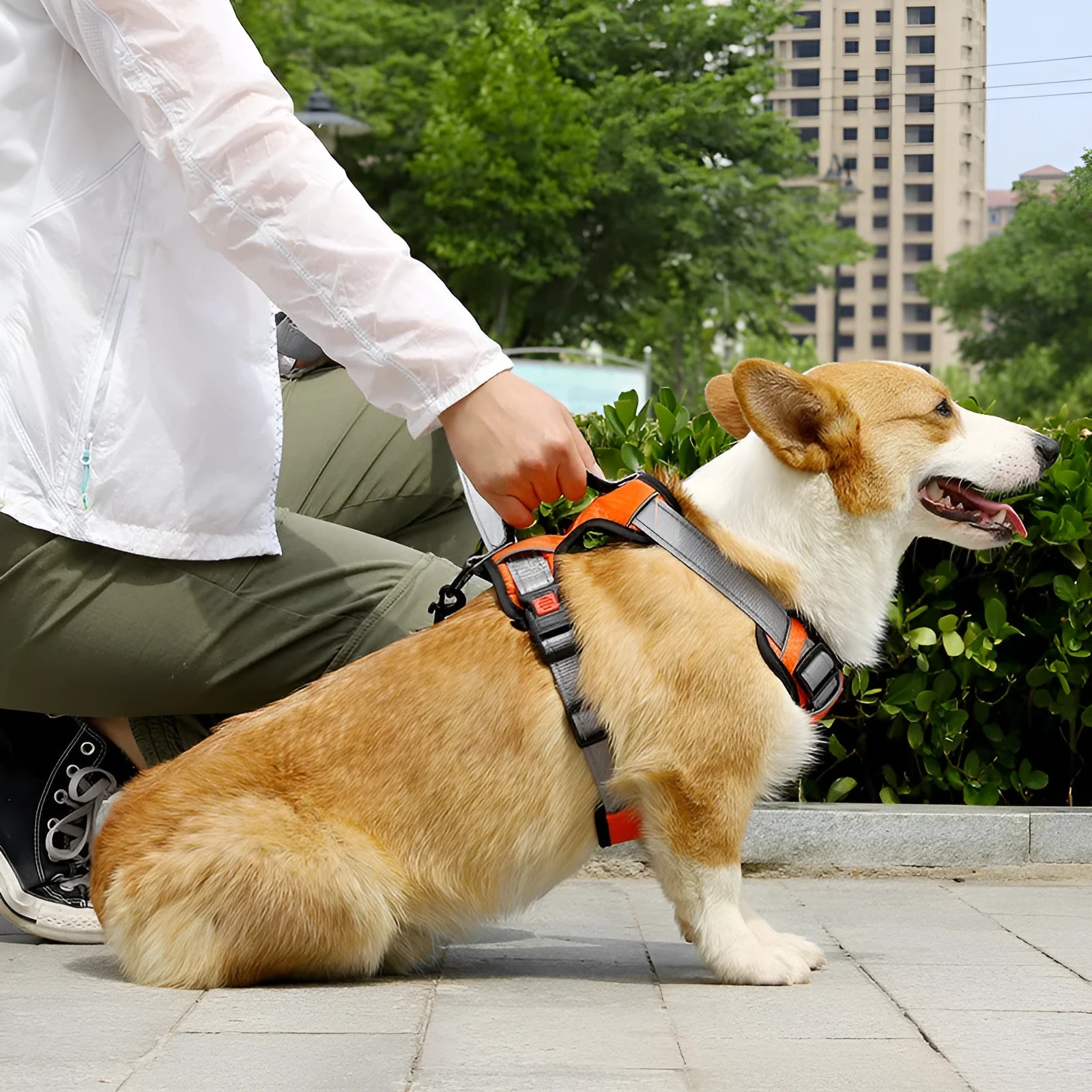 Polyester dog vest harness with chest strap and hand holding rope attachment in various colours