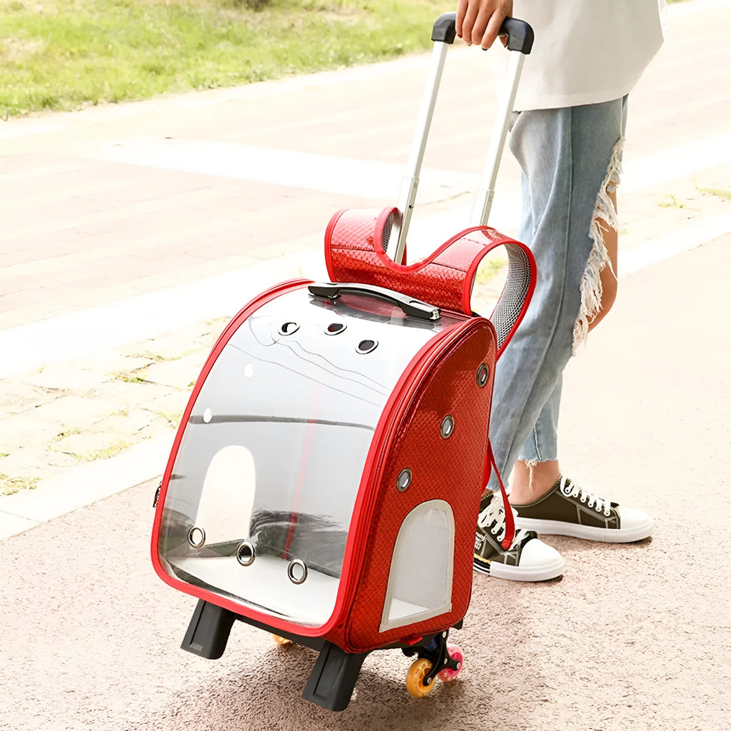 Transparent pet trolley bag with folding design and shoulder strap for small dogs