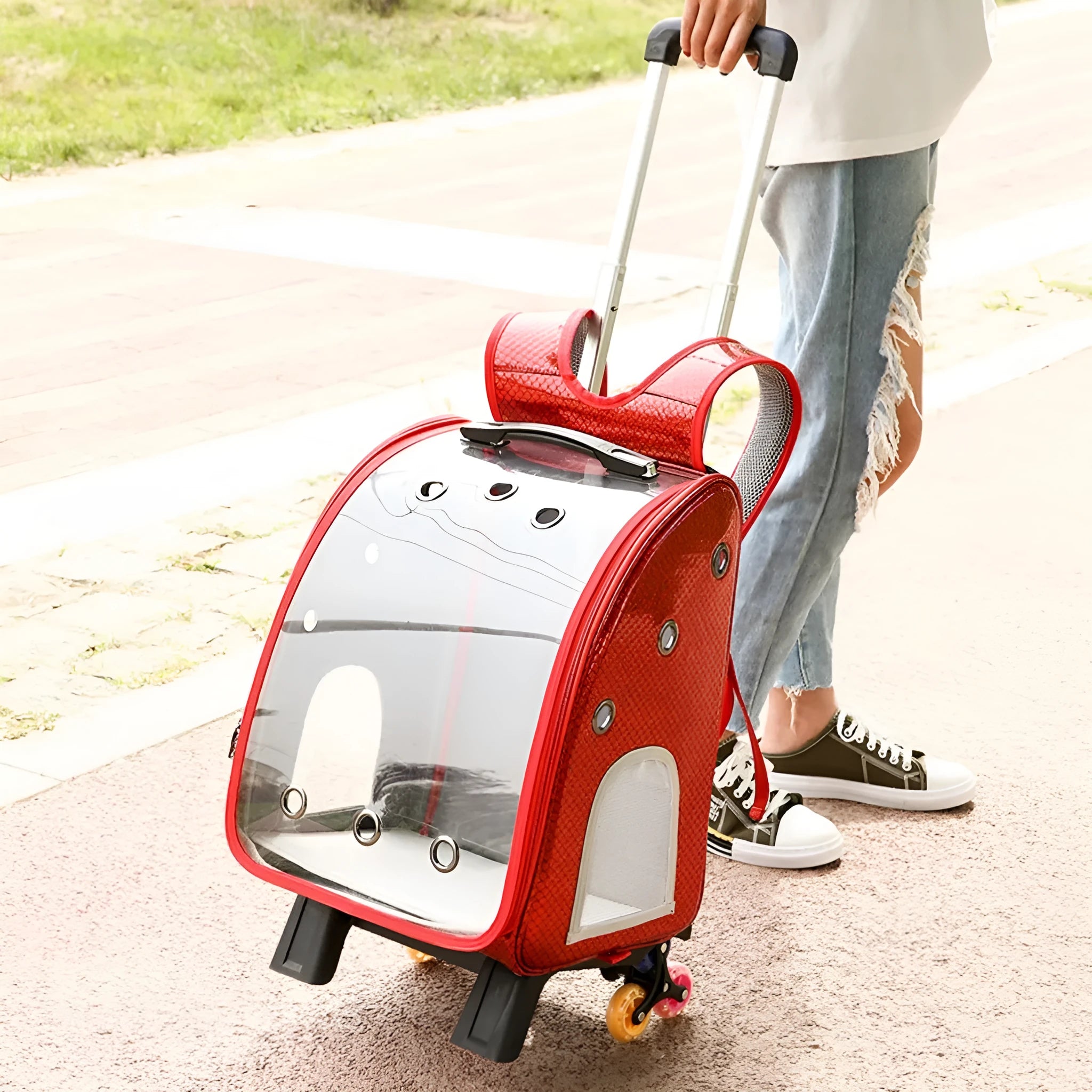 Transparent pet trolley bag with folding design and shoulder strap for small dogs