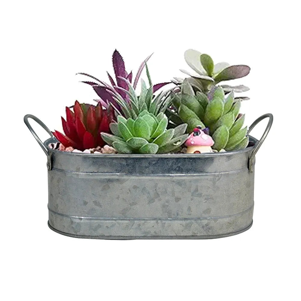 Iron metal succulent flowerpot desktop style plant container for cactus and drought-resistant plants