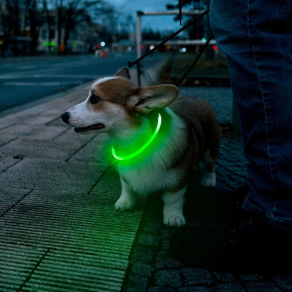 USB rechargeable LED dog safety collar with glowing light, adjustable 70cm TPU strap