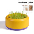 Blue hydroponic cat grass kit with wheatgrass seeds in a planter cup