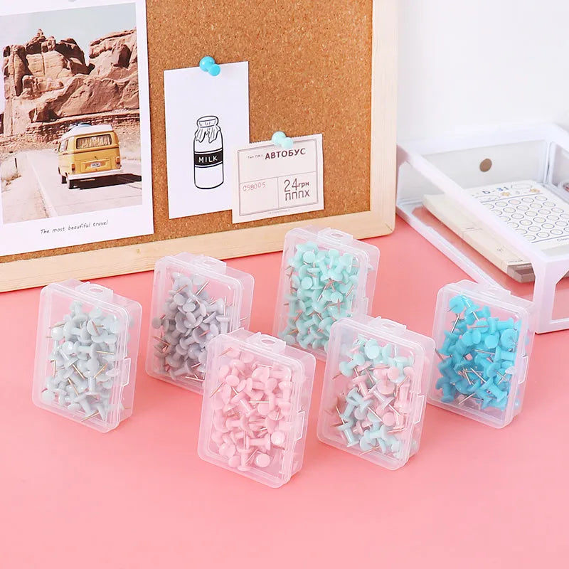 50 Morandi colour push pins with button and star shaped heads for bulletin boards
