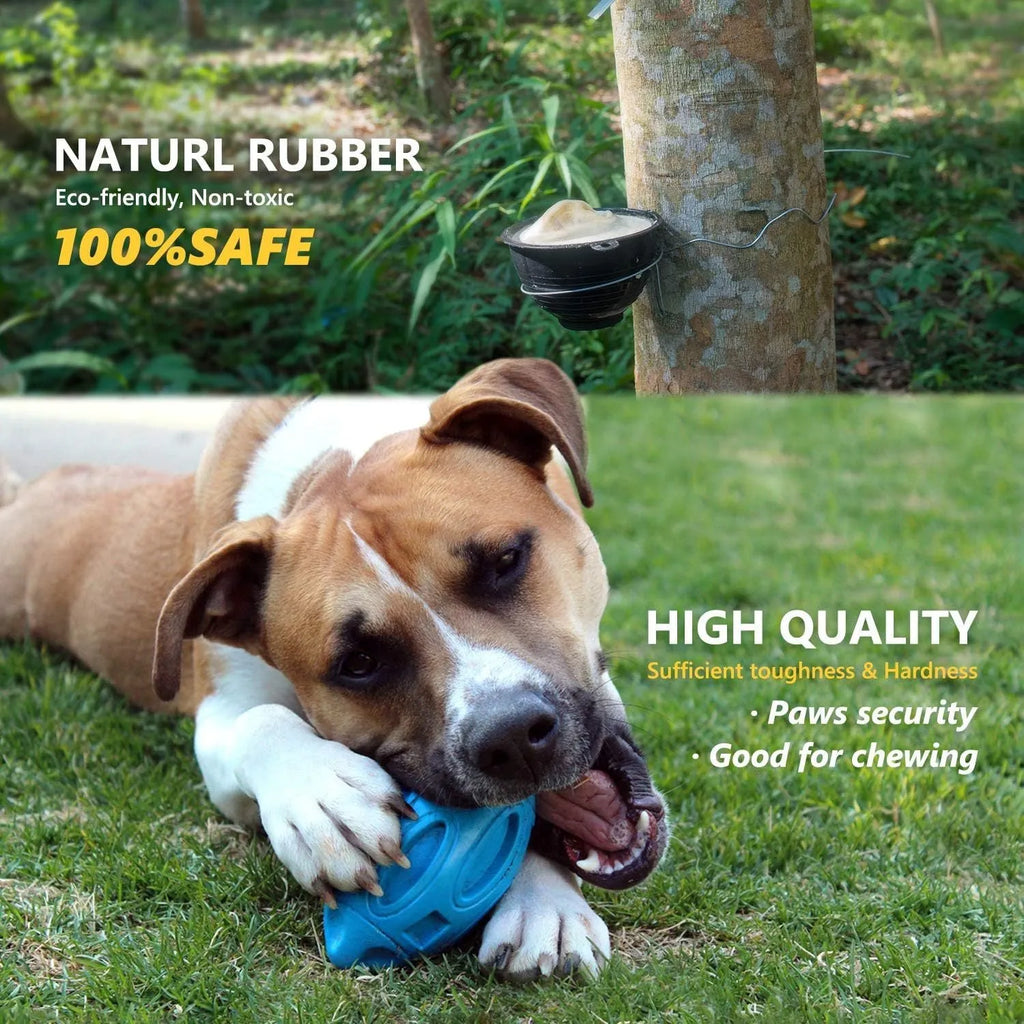 Blue green orange squeaky dog chew ball for medium large breed aggressive chewers