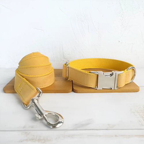 Yellow velvet polyester adjustable dog collar on a light background showing buckle and sizing details.