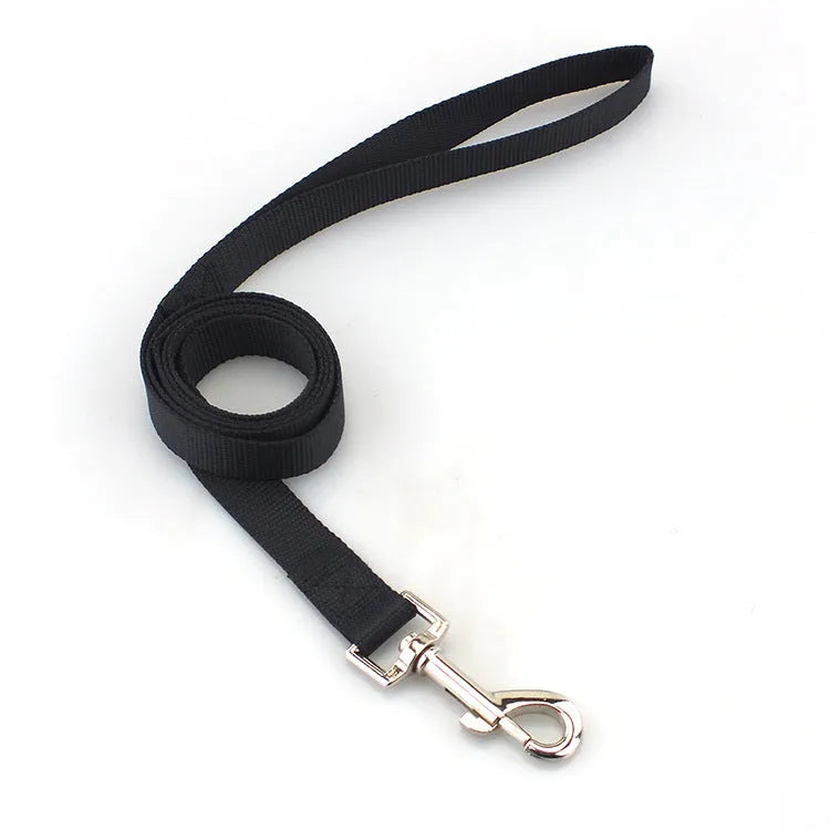 Solid colour polyester dog training lead with integrated hand-holding rope grip shown in blue.