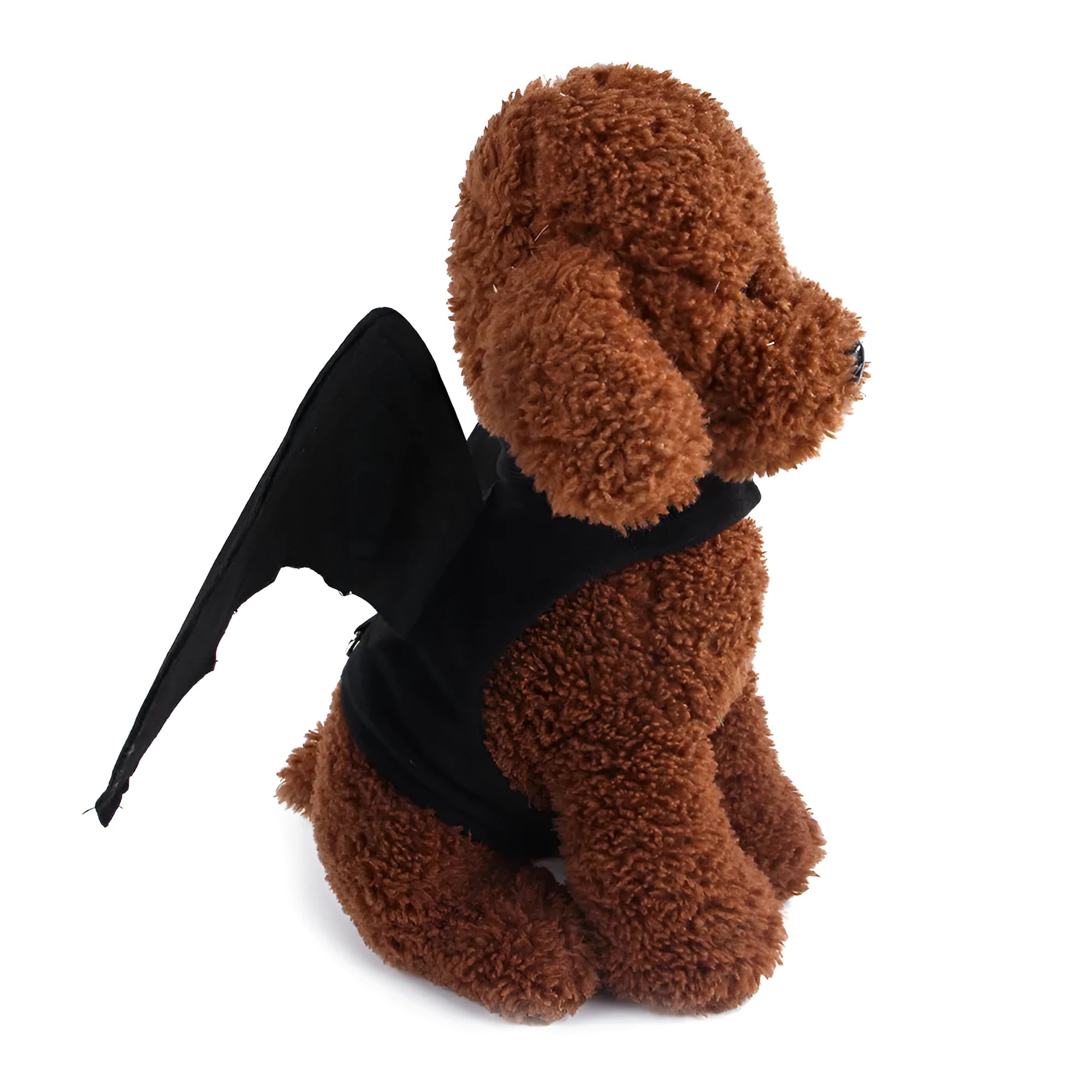 Black cloth pet bat costume with 3D wings on a dog or cat, available in sizes S M L