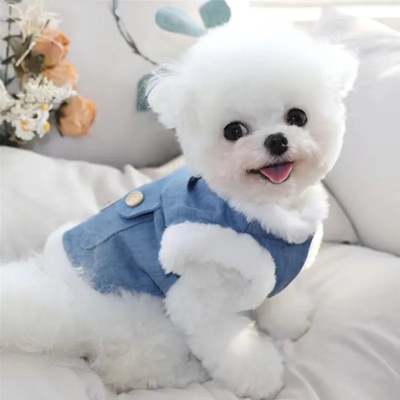 Denim dog vest with white wool lining, embroidered teddy bear patches, wooden buttons, and metal D-ring on blue background