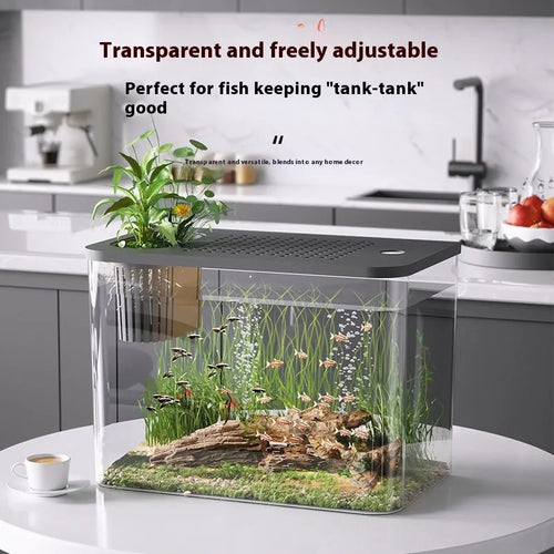 Medium plastic Betta fish tank with cover in black or white colour options