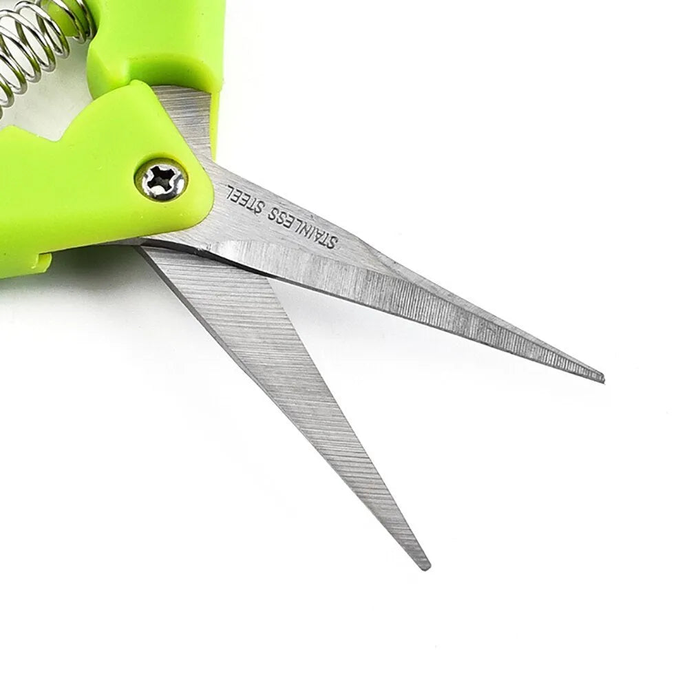 Pair of green stainless steel pruning gardening scissors 16.5 cm long on white background