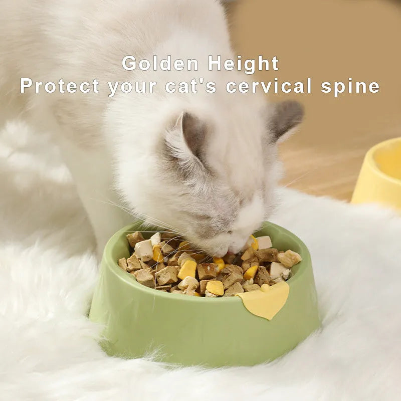 Green plastic double pet bowl for dog and cat food and water on a white surface
