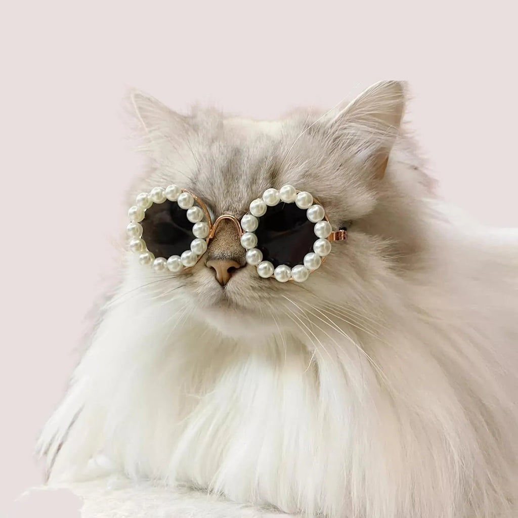 Pearl-rimmed round sunglasses for pets on cat and dog with black, blue, coffee, orange and purple colour options