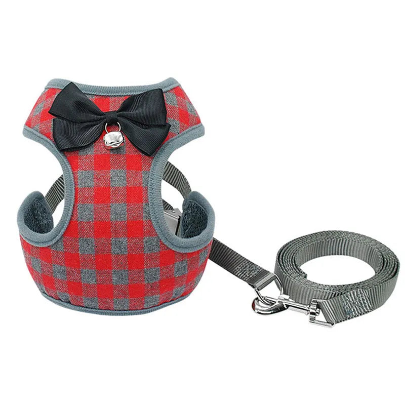Gray cloth dog chest strap harness with buckle closure and leash on a light background