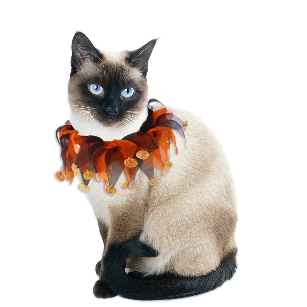 Colourful tie-dye dog collar in green, blue, Halloween, and Christmas styles on a white background.